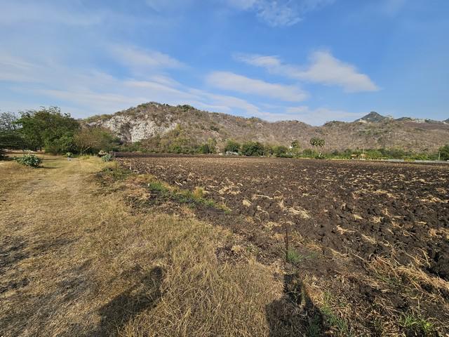 ที่ดิน 24517500 สระบุรี พระพุทธบาท พุกร่าง ที่ดิน 24517500 สระบุรี พระพุทธบาท พุกร่าง