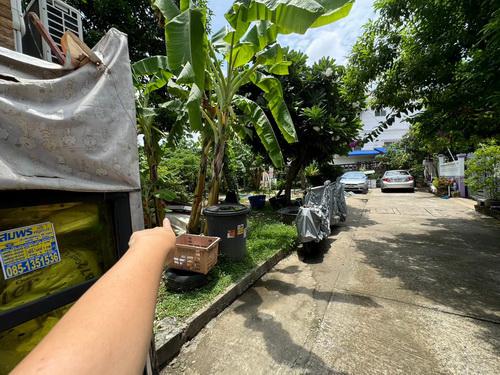 ที่ดิน 5500000 กรุงเทพมหานคร เขตพระโขนง บางจาก ที่ดิน 5500000 กรุงเทพมหานคร เขตพระโขนง บางจาก