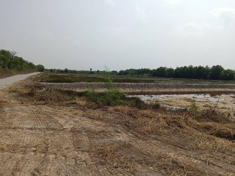 ที่ดิน 350000 นครปฐม บางเลน หินมูล ที่ดิน 350000 นครปฐม บางเลน หินมูล