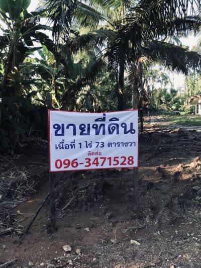 ที่ดิน 800000 พัทลุง เมืองพัทลุง นาโหนด
