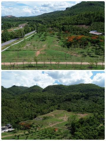 ที่ดิน 45000000 ลำพูน บ้านโฮ่ง ป่าพลู