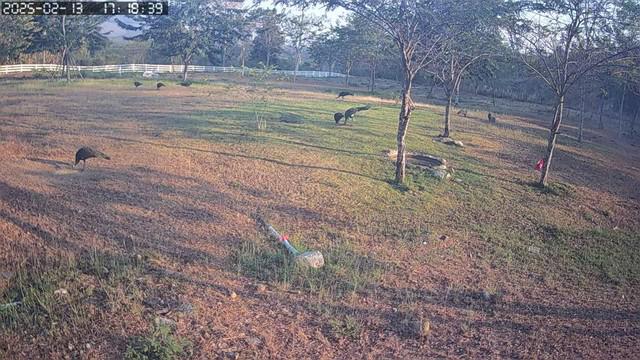 ที่ดิน 45000000 ลำพูน บ้านโฮ่ง ป่าพลู ที่ดิน 45000000 ลำพูน บ้านโฮ่ง ป่าพลู