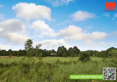 ที่ดิน 12000000 ปราจีนบุรี เมืองปราจีนบุรี ดงขี้เหล็ก