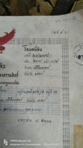 ที่ดิน 1200000 แพร่ เมืองแพร่ ทุ่งโฮ้ง ที่ดิน 1200000 แพร่ เมืองแพร่ ทุ่งโฮ้ง