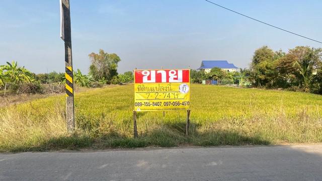 ที่ดิน 5500000 ฉะเชิงเทรา บางน้ำเปรี้ยว ศาลาแดง ที่ดิน 5500000 ฉะเชิงเทรา บางน้ำเปรี้ยว ศาลาแดง