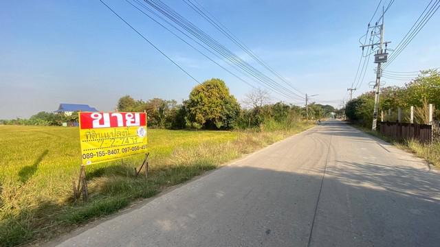 ที่ดิน 5500000 ฉะเชิงเทรา บางน้ำเปรี้ยว ศาลาแดง ที่ดิน 5500000 ฉะเชิงเทรา บางน้ำเปรี้ยว ศาลาแดง