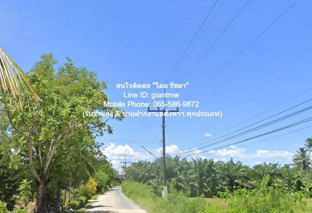 ที่ดิน 5000000 พัทลุง เมืองพัทลุง ชัยบุรี ที่ดิน 5000000 พัทลุง เมืองพัทลุง ชัยบุรี