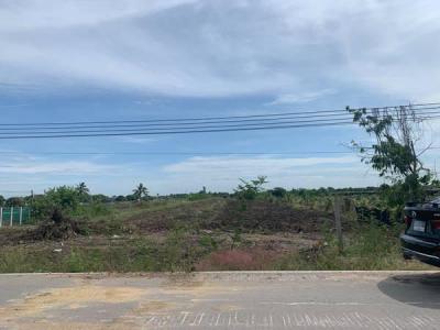 ที่ดิน 10000 นครปฐม เมืองนครปฐม ดอนยายหอม