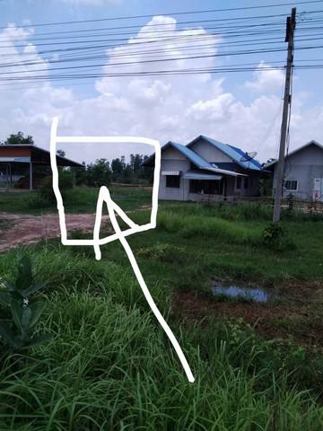 ที่ดิน 350000 มหาสารคาม บรบือ วังไชย ที่ดิน 350000 มหาสารคาม บรบือ วังไชย