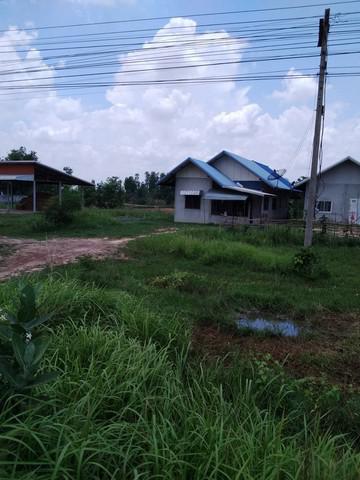 ที่ดิน 350000 มหาสารคาม บรบือ วังไชย ที่ดิน 350000 มหาสารคาม บรบือ วังไชย
