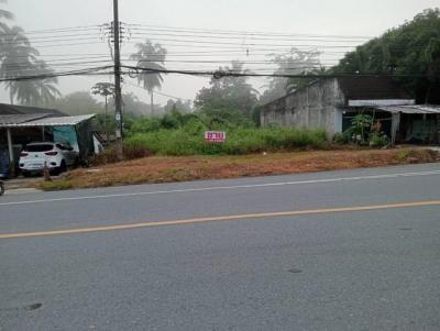 ที่ดิน 1300000 กระบี่ เมืองกระบี่ อ่าวนาง