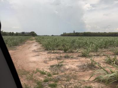 ที่ดิน 11200000 กาญจนบุรี ท่าม่วง หนองตากยา