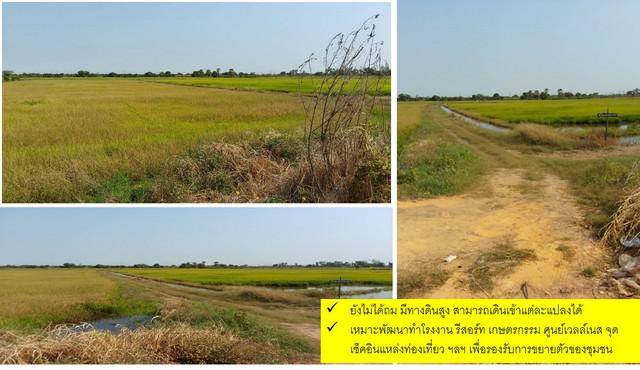 ที่ดิน 180000000 ฉะเชิงเทรา บ้านโพธิ์ แหลมประดู่ ที่ดิน 180000000 ฉะเชิงเทรา บ้านโพธิ์ แหลมประดู่