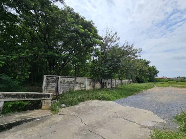 ที่ดิน 15000000 สระบุรี หนองแค หนองแค ที่ดิน 15000000 สระบุรี หนองแค หนองแค