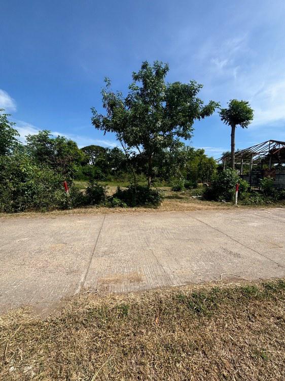 ที่ดิน 8700000 ราชบุรี ที่ดิน 8700000 ราชบุรี