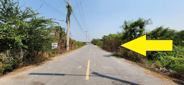ที่ดิน 890000 ปทุมธานี หนองเสือ บึงกาสาม ที่ดิน 890000 ปทุมธานี หนองเสือ บึงกาสาม
