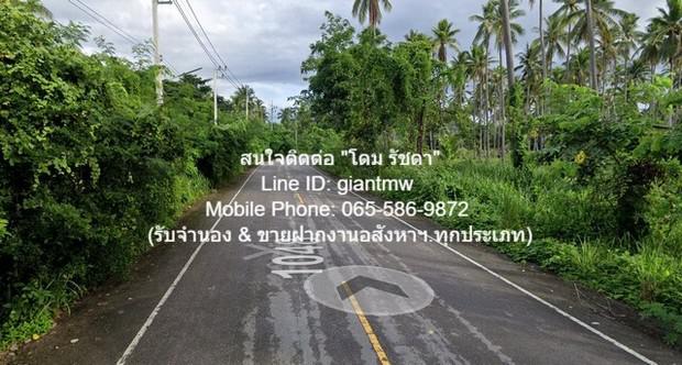 ที่ดิน 15000000 ประจวบคีรีขันธ์ ทับสะแก นาหูกวาง ที่ดิน 15000000 ประจวบคีรีขันธ์ ทับสะแก นาหูกวาง