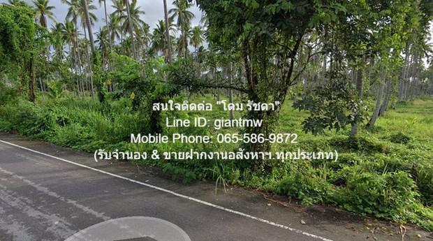 ที่ดิน 15000000 ประจวบคีรีขันธ์ ทับสะแก นาหูกวาง ที่ดิน 15000000 ประจวบคีรีขันธ์ ทับสะแก นาหูกวาง