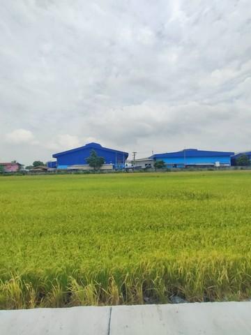 ที่ดิน 3200000 ฉะเชิงเทรา เมืองฉะเชิงเทรา คลองหลวงแพ่ง