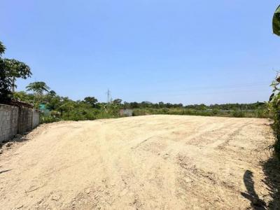 ที่ดิน 2900000 ชลบุรี ศรีราชา บางพระ