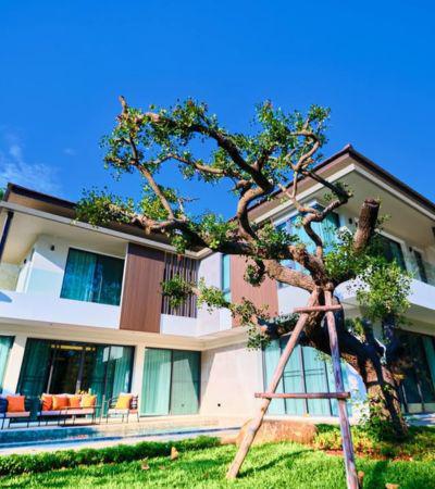 บ้านเดี่ยว 26500000 เชียงใหม่ แม่ริม แม่สา บ้านเดี่ยว 26500000 เชียงใหม่ แม่ริม แม่สา