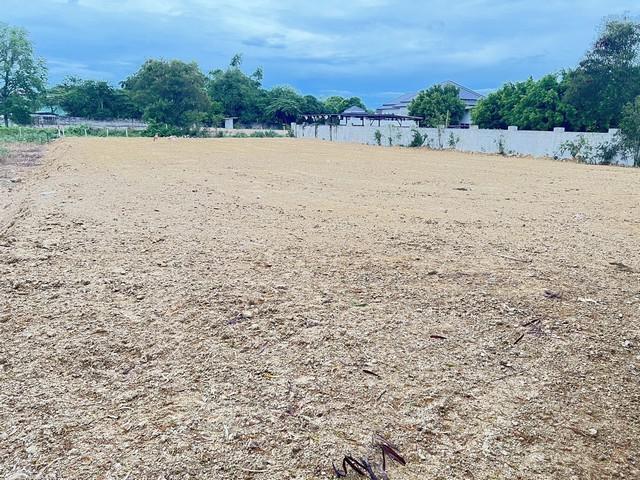 ที่ดิน 8112000 ประจวบคีรีขันธ์ หัวหิน หนองแก ที่ดิน 8112000 ประจวบคีรีขันธ์ หัวหิน หนองแก