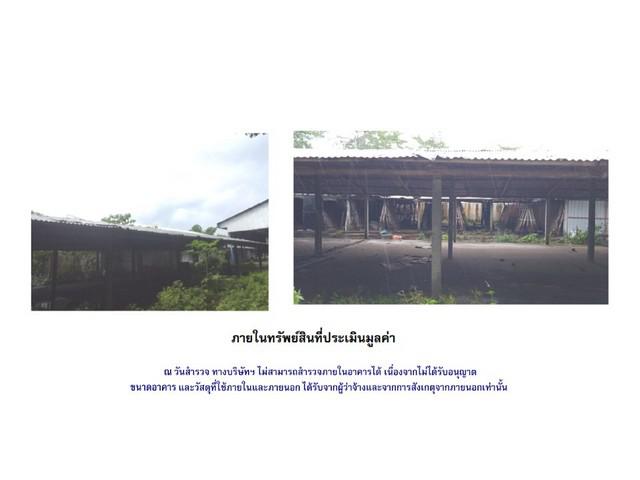 บ้านเดี่ยว 6900000 ศรีสะเกษ ขุนหาญ บักดอง บ้านเดี่ยว 6900000 ศรีสะเกษ ขุนหาญ บักดอง