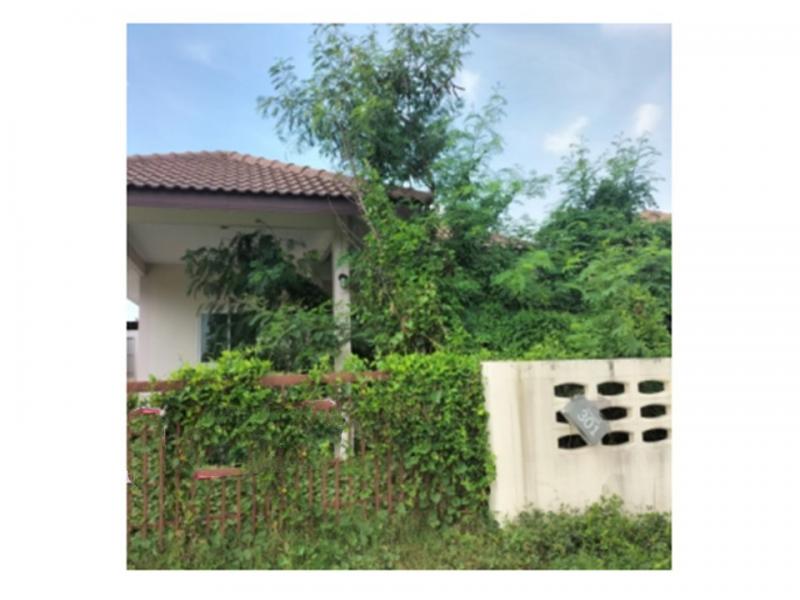 บ้านเดี่ยว 2300000 สุรินทร์ เมืองสุรินทร์ ท่าสว่าง บ้านเดี่ยว 2300000 สุรินทร์ เมืองสุรินทร์ ท่าสว่าง