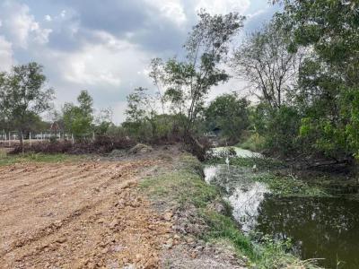 ที่ดิน 390000 กรุงเทพมหานคร เขตหนองจอก หนองจอก