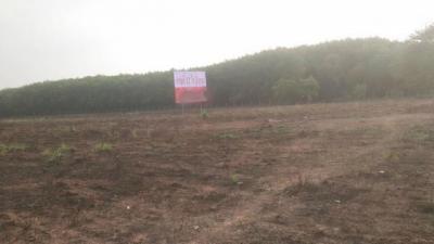 ที่ดิน 3500000 ฉะเชิงเทรา พนมสารคาม เกาะขนุน