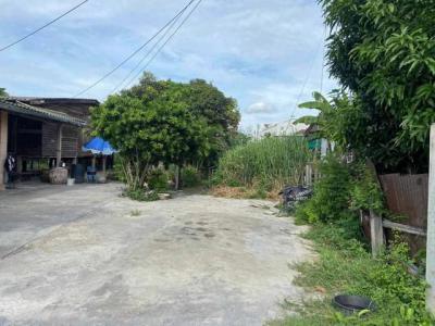 ที่ดิน 5550000 ชลบุรี เมืองชลบุรี แสนสุข