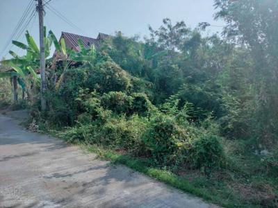 ที่ดิน 12500 นครสวรรค์ เมืองนครสวรรค์ วัดไทร