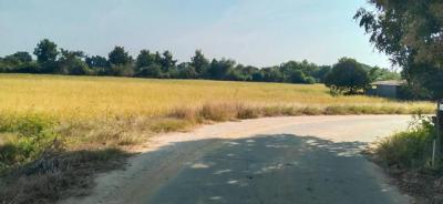 ที่ดิน 750000 ชลบุรี พนัสนิคม โคกเพลาะ