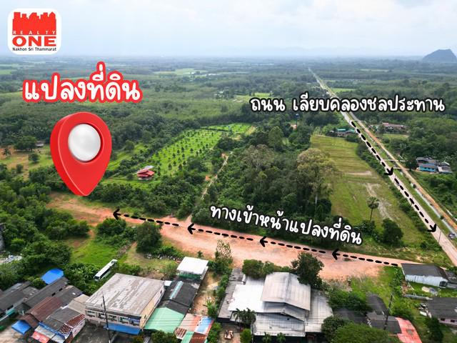 ที่ดิน 2500000 พัทลุง เมืองพัทลุง ปรางหมู่ ที่ดิน 2500000 พัทลุง เมืองพัทลุง ปรางหมู่