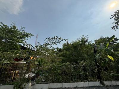 ที่ดิน 30000 กรุงเทพมหานคร เขตพระโขนง บางจาก