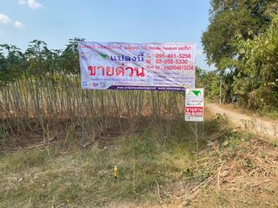 ที่ดิน 2200000 หนองคาย สังคม ผาตั้ง