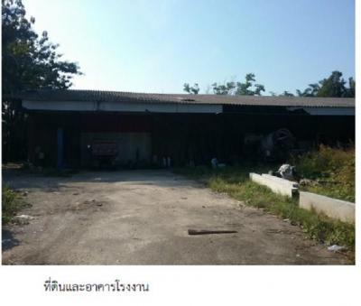 โรงงาน 5606000 ชุมพร เมืองชุมพร ตากแดด