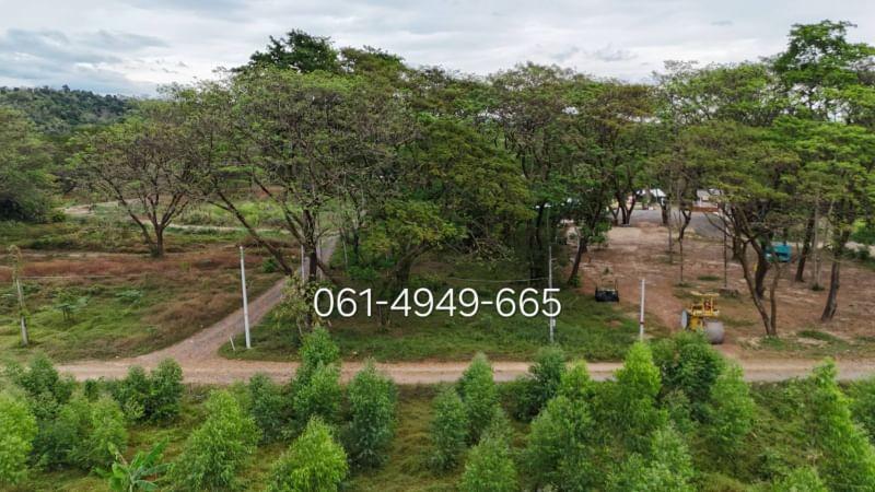 ที่ดิน 10760000 นครนายก เมืองนครนายก สาริกา ที่ดิน 10760000 นครนายก เมืองนครนายก สาริกา