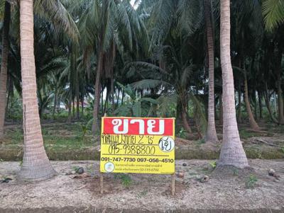 ที่ดิน 6000000 สมุทรสงคราม เมืองสมุทรสงคราม บางขันแตก