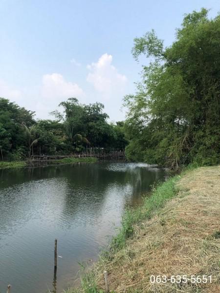 ที่ดิน 9375000 นครนายก เมืองนครนายก ท่าช้าง ที่ดิน 9375000 นครนายก เมืองนครนายก ท่าช้าง