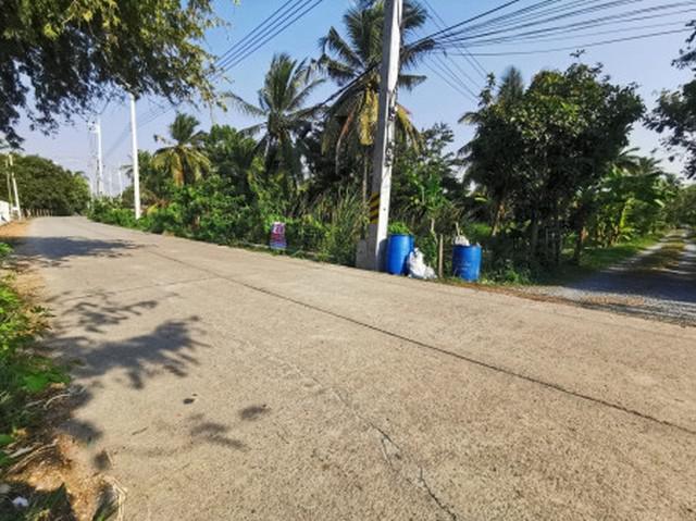 ที่ดิน 30100000 นครปฐม สามพราน หอมเกร็ด ที่ดิน 30100000 นครปฐม สามพราน หอมเกร็ด