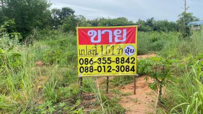 ที่ดิน 5300000 ชลบุรี บางละมุง หนองปรือ