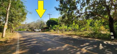 ที่ดิน 10704890 กาญจนบุรี ทองผาภูมิ หินดาด