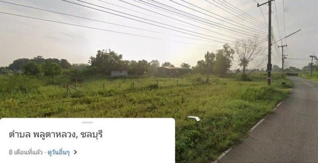 ที่ดิน 1500000 ชลบุรี สัตหีบ พลูตาหลวง ที่ดิน 1500000 ชลบุรี สัตหีบ พลูตาหลวง
