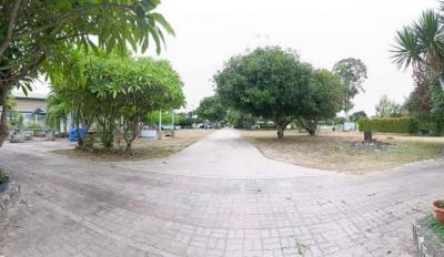 ที่ดิน 105000000 ชลบุรี บางละมุง หนองปรือ