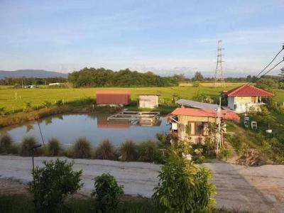 บ้านเดี่ยว 7000000 เชียงใหม่ แม่ริม เหมืองแก้ว