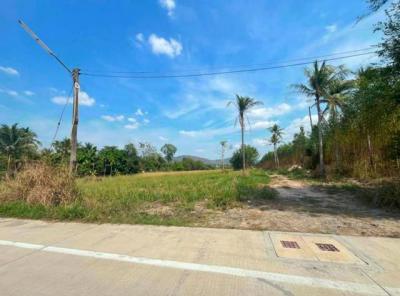 ที่ดิน 2700000 ชลบุรี ศรีราชา เขาคันทรง