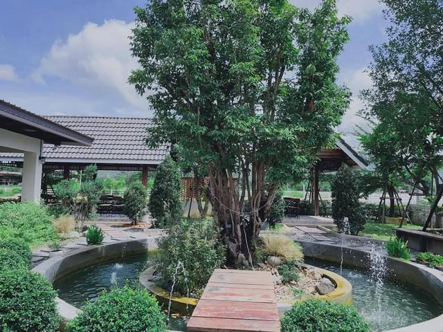 บ้านเดี่ยว 25000 เชียงใหม่ กิ่งอำเภอแม่ออน ออนกลาง บ้านเดี่ยว 25000 เชียงใหม่ กิ่งอำเภอแม่ออน ออนกลาง