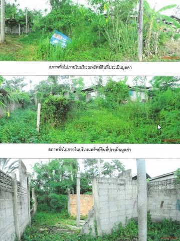 ที่ดิน 713000 พัทลุง เขาชัยสน โคกม่วง