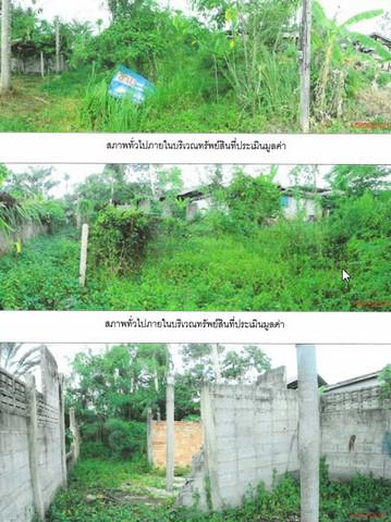 ที่ดิน 713000 พัทลุง เขาชัยสน โคกม่วง ที่ดิน 713000 พัทลุง เขาชัยสน โคกม่วง